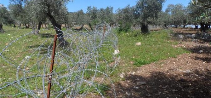 Israeli Occupation Forces set up a fence alongside agricultural lands of Yabad town