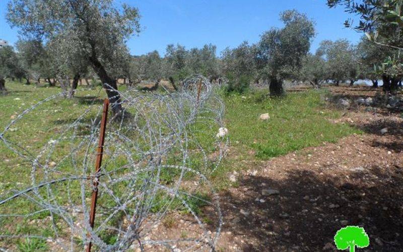 Israeli Occupation Forces set up a fence alongside agricultural lands of Yabad town