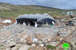 Israeli Occupation Forces demolish residential and agricultural structures in Yatta town