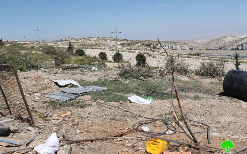 Israeli occupation municipality in Jerusalem demolish structures and uproots trees in the Jerusalem neighborhood of At-Tur