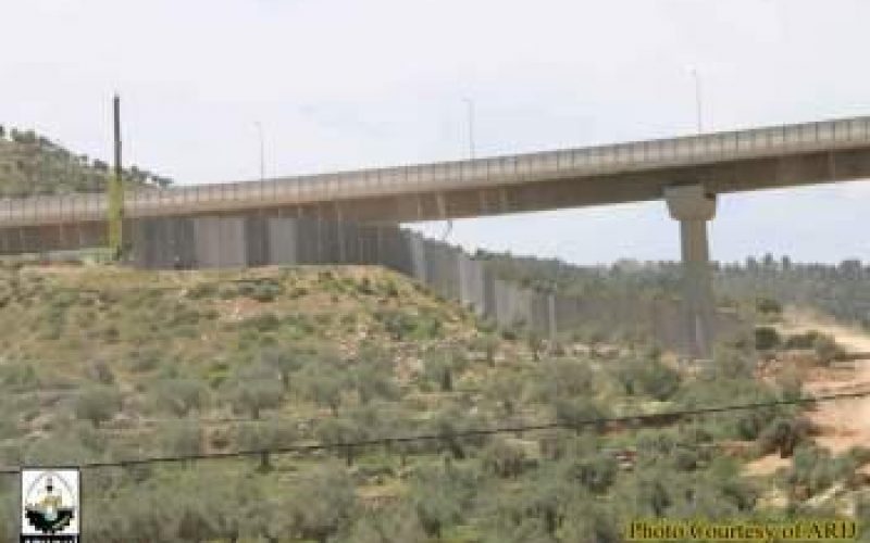 Israeli Violations in the Occupied Palestinian Territory- April 2016
More Colonial & Expansionist Activities in parallel with expropriation and demolition campaigns