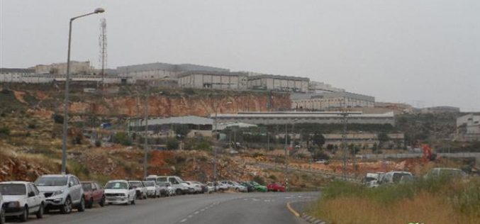 Expansion works on Israeli Arial industrial zone at the expense of Salfit lands