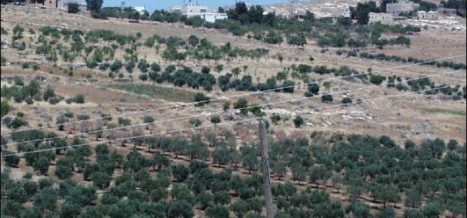 Four Houses Threatened with Demolition in An Nu’man Village in Bethlehem District