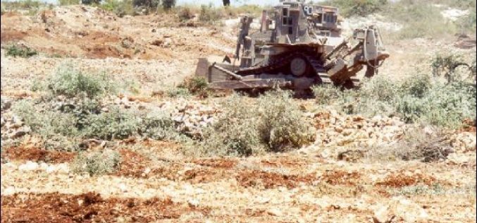 An Assessment of the Israeli Practices on the Palestinian Agricultural Sector