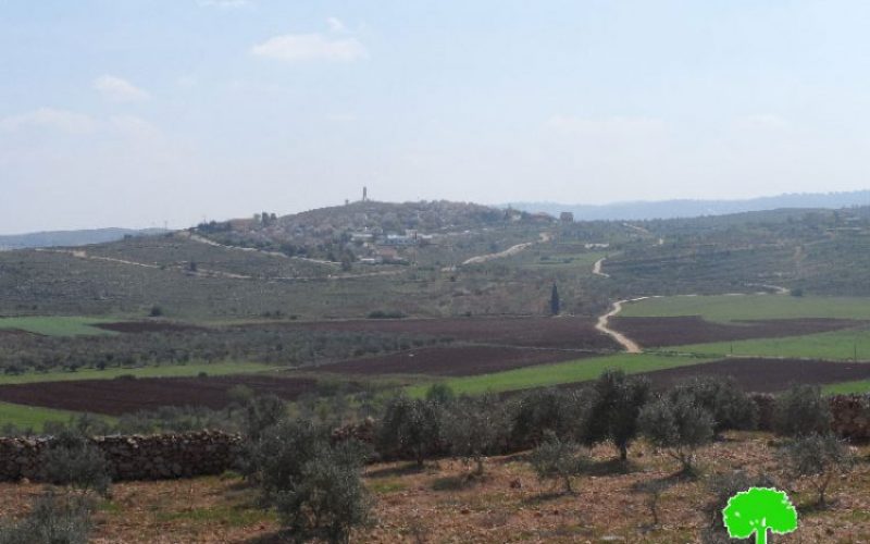 Israel to transform 2202.7 dunums from Salfit into “State Lands”