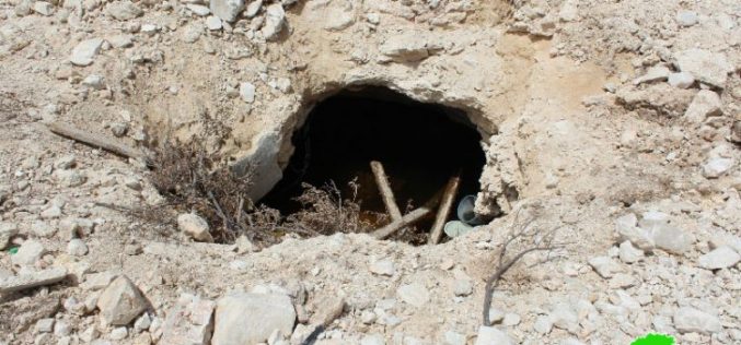 Israeli Occupation Forces ravage lands, uproot trees and demolish water well in Hebron