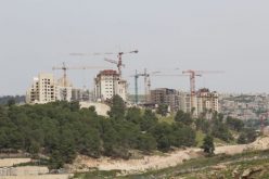 “The Israeli  Settlement Enterprise Ascends” <br> Plans for 1,432 Housing Units approved in less than two weeks