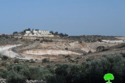 Israeli to establish a new colonial neighborhood  in Elkana colony, west Salfit governorate