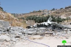 The Israeli occupation municipality demolishes three residences in Jerusalem