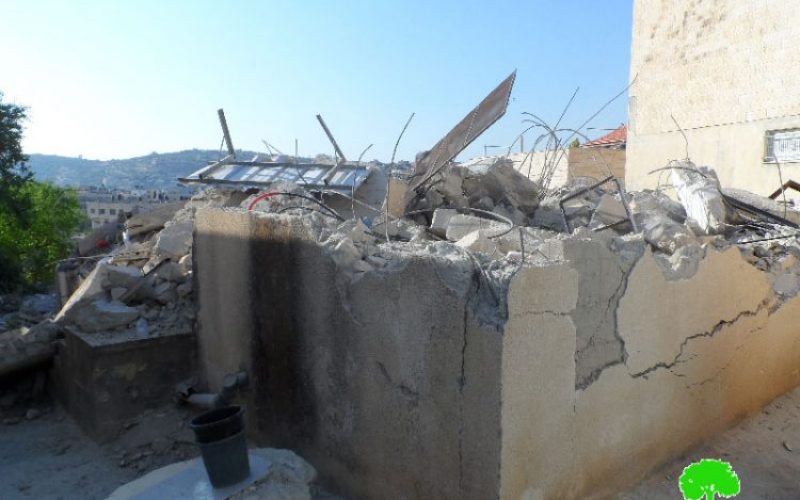 Israeli Occupation Forces demolish three residences in Jenin governorate