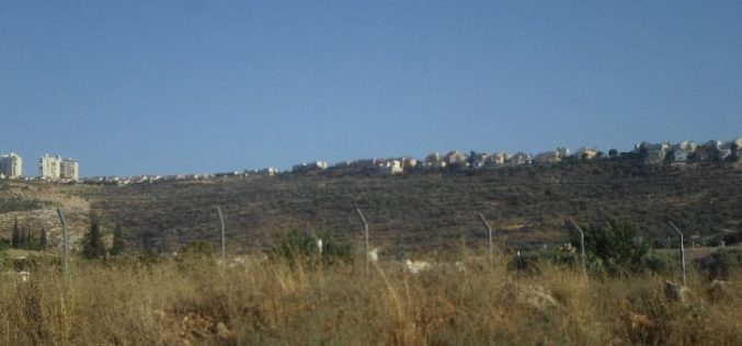 الاحتلال الاسرائيلي يشرع في اقامة مقبرة لليهود بجانب مستعمرة ارائيل