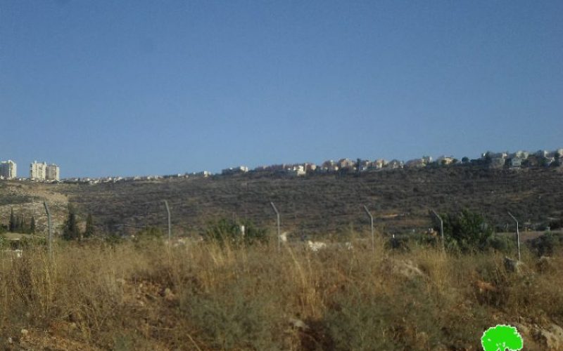 الاحتلال الاسرائيلي يشرع في اقامة مقبرة لليهود بجانب مستعمرة ارائيل