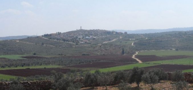 Israel to transform 2202.7 dunums from Salfit into “State Lands”