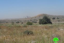 An Israel military order to declare 1148 dunums from Salfit as “State Property”