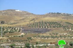 Yizhar colonists set  fire to agricultural lands in Nablus