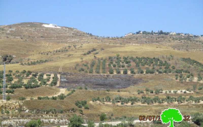 Yizhar colonists set  fire to agricultural lands in Nablus