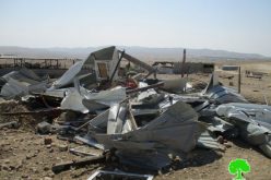 Israeli Occupation Forces demolish Al-Mleihat and Arab Al-Zayed Bedouin communities in Jericho governorate