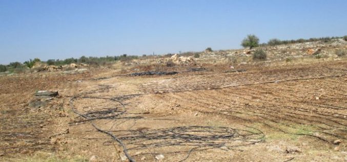 Israeli Occupation Forces destroy irrigation network in Qalqiliya