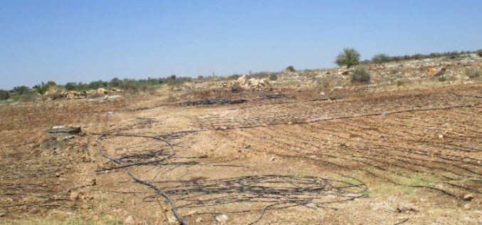 جيش الاحتلال الإسرائيلي يدمر شبكات ري لـ  23دونماً في قرية عزون عتمة بمحافظة قلقيلية