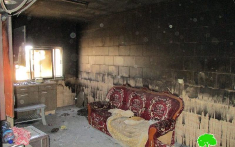 مستعمرو تدفيع الثمن يحرقون منزلا ً لعائلة الدوابشة في قرية دوما