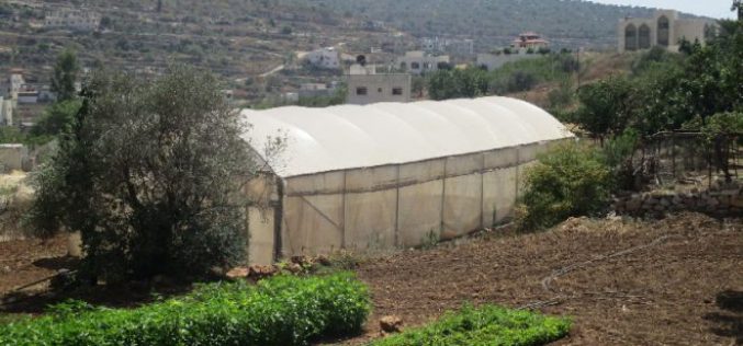 إخطارات بوقف البناء لمنشآت زراعية وصناعية في بلدة حبلة بمحافظة قلقيلية