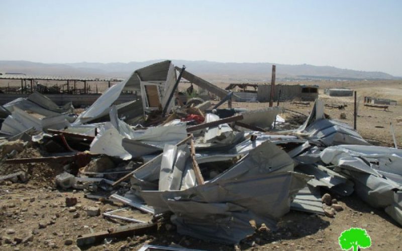 Israeli Occupation Forces demolish Al-Mleihat and Arab Al-Zayed Bedouin communities in Jericho governorate