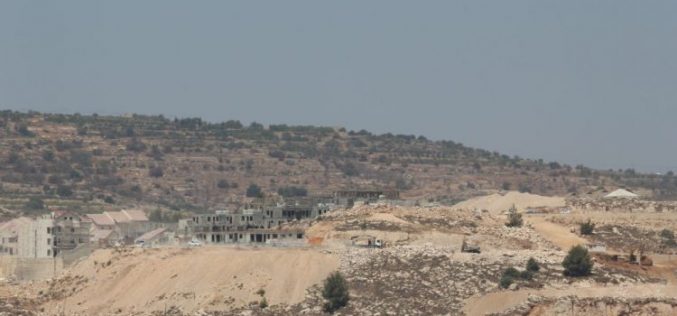 Israeli Violations in the Occupied Palestinian Territory- August 2016