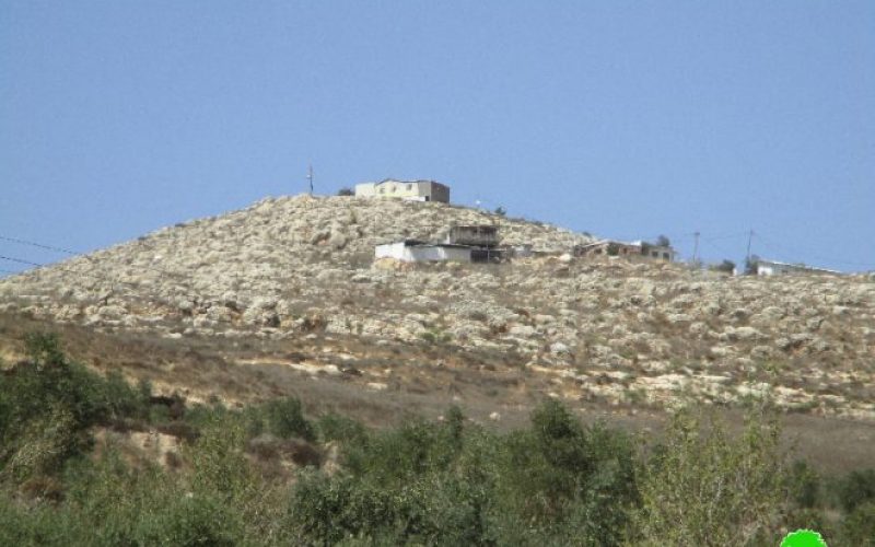Givat Ronen colonists ravage agricultural lands in the Nablus village of Burin