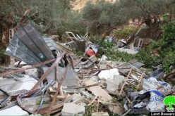 Israeli Occupation Forces demolish three residences in Bethlehem city
