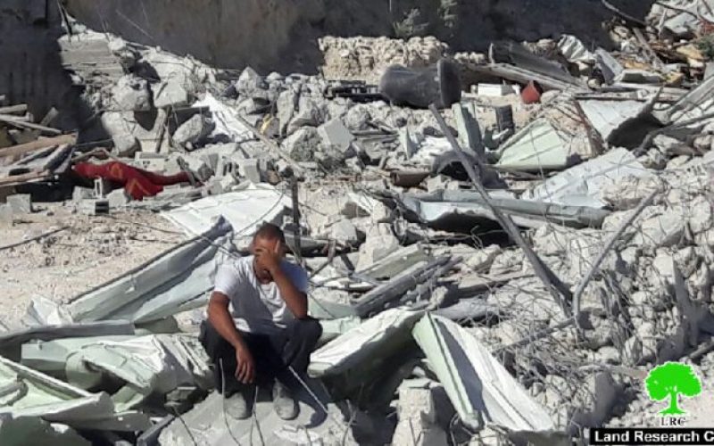 The Israeli occupation municipality demolishes a stable for horses in Jerusalem