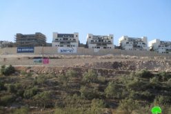 Bedoel colony continues on pumping sewage water into the Lands of Kfar Ad-Dik
