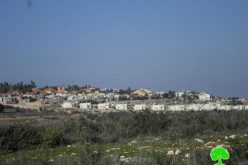 Israel Planning and Construction Committee- Israel Civil Administration ratifies new master plan for Beit Arye colony on 348 Palestinian dunums