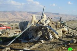 Israeli Occupation Forces demolish AL-Deir Bedouin community in Ein Al-Beida village