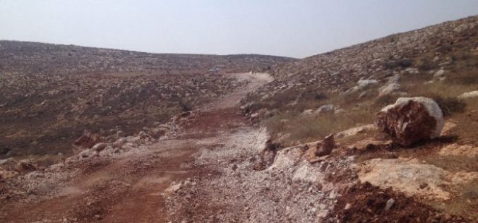 Colonists’ campaign against re-opening agricultural road in Nablus