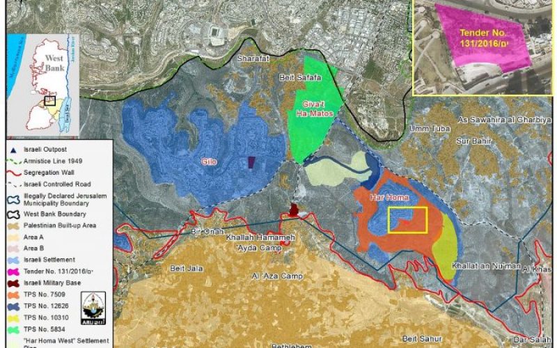 Increase in settlement size as existing settlements expand in the oPt  <br>“New Israeli Plans and tenders exposed”