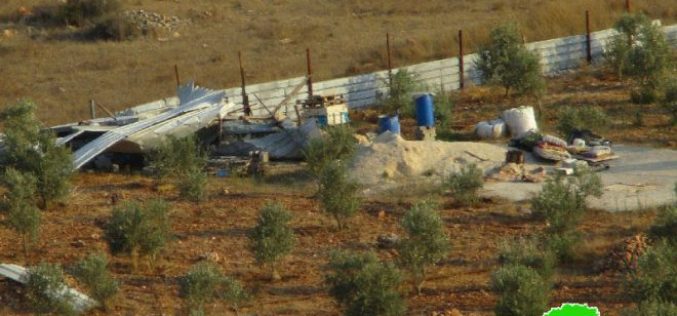 جيش الاحتلال الإسرائيلي يهدم بركساً وغرفة زراعية في قرية جيوس