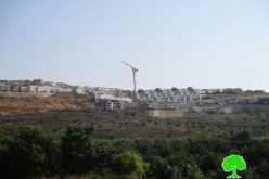 مخطط هيكلي جديد لمستعمرة ” اورنيت” على أراضي قرية عزون عتمة