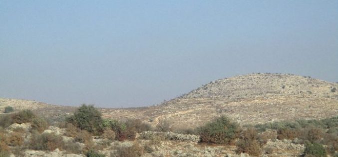 جيش الاحتلال يتسبب في إحراق 17 شجرة زيتون مثمرة في قرية سلواد