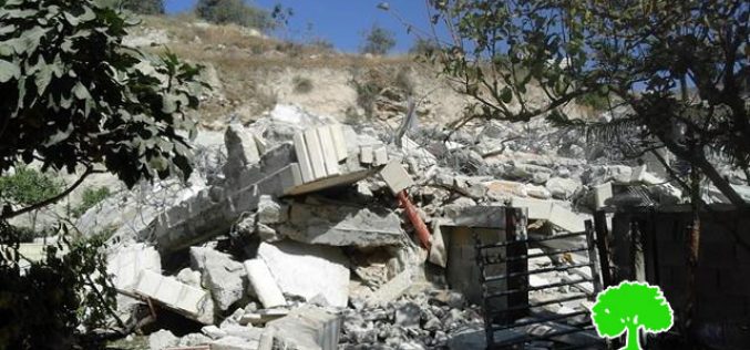Dozers of Israel Municipality demolish a building in the Jerusalem town of Silwan