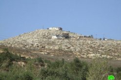 Givat Ronen colonists ravage agricultural lands in the Nablus village of Burin