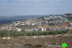 New colonial neighborhood in Revava colony at the expense of Salfit government lands