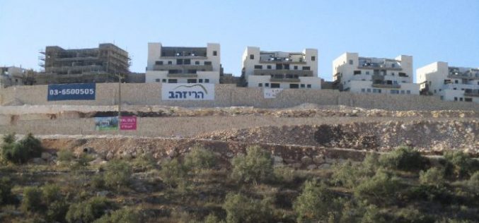 Bedoel colony continues on pumping sewage water into the Lands of Kfar Ad-Dik