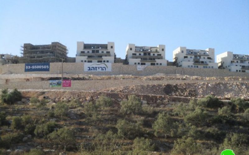 Bedoel colony continues on pumping sewage water into the Lands of Kfar Ad-Dik