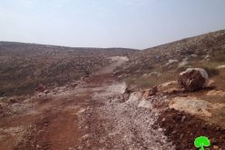 Colonists’ campaign against re-opening agricultural road in Nablus