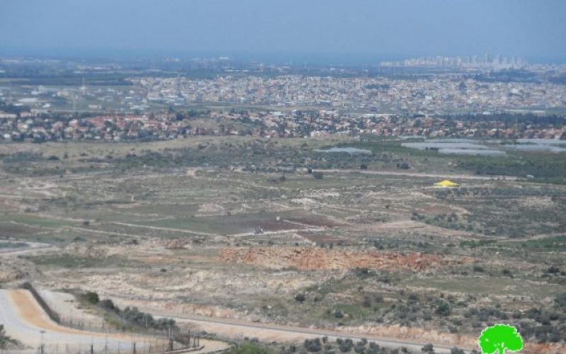 Israeli military order to seize four dunums from the Qalqiliya village of Jayyous