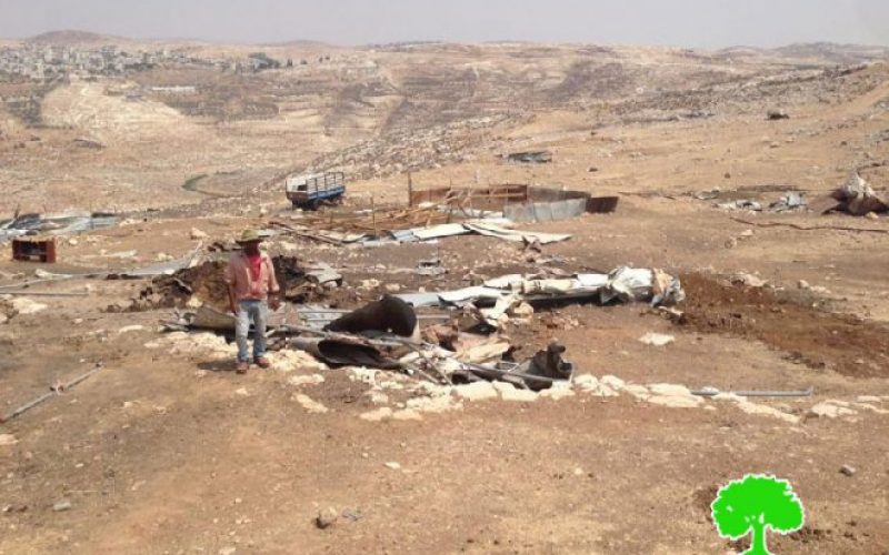Demolition of residences and structures in the Bedouin community of Al-Maa’zi