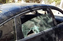 During olive harvesting season: Israeli attacks on Palestinian families rapidly increase in Qaryut village