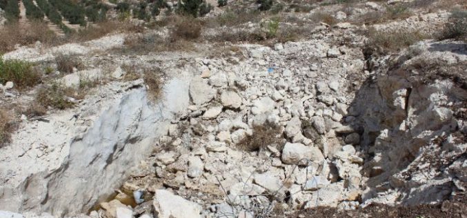 Israeli Occupation Forces ravage 38 dunums in the Hebron town of Kharas
