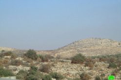 جيش الاحتلال يتسبب في إحراق 17 شجرة زيتون مثمرة في قرية سلواد