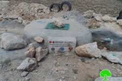 Israeli Occupation Forces destroy 870 olive trees and water well in Yatta town